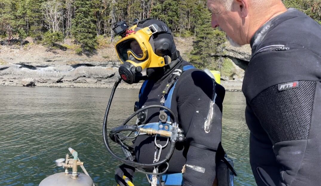 Diver George Tollo prepares to harvest sea cucumbers